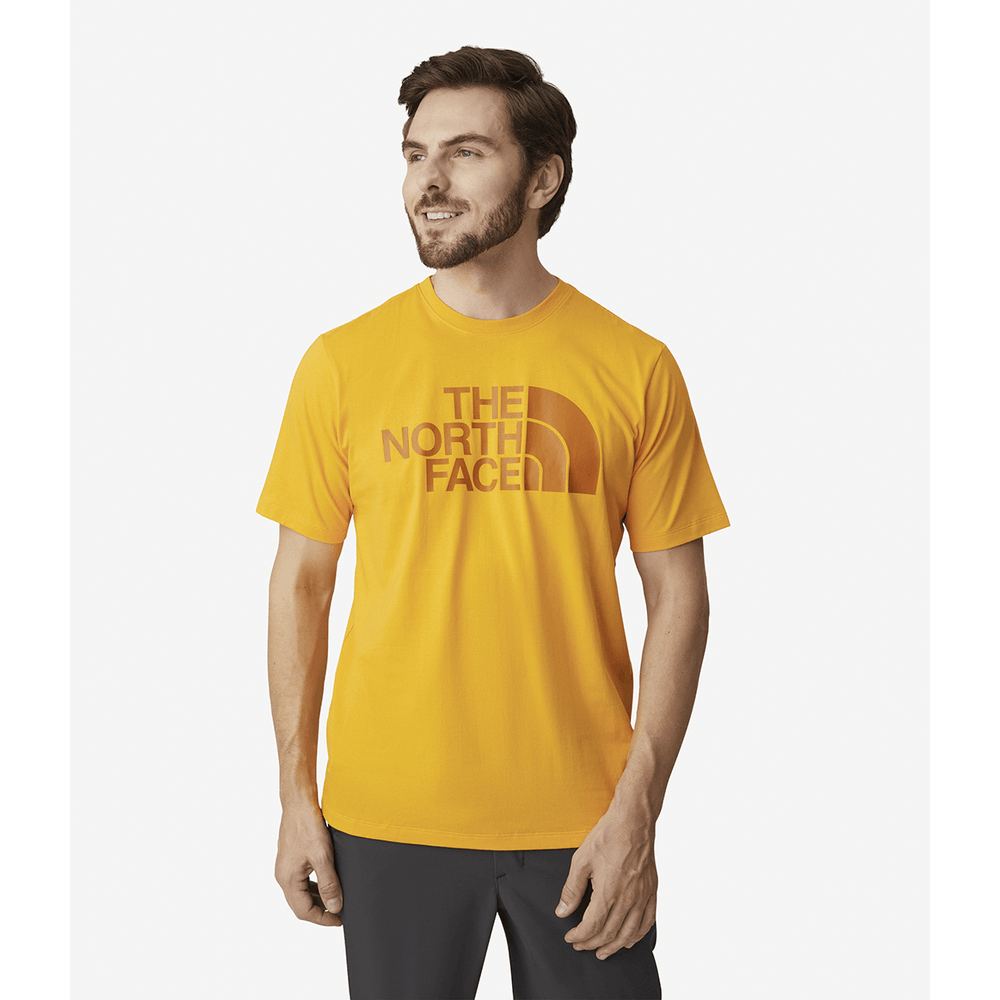 Camiseta The North Face Half Dome Tee Masculina Cinza