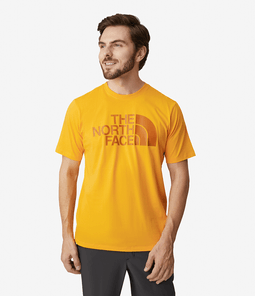 The North Face Camiseta masculina de manga curta NSE, Tnf cinza m dio/preto  Tnf, PP