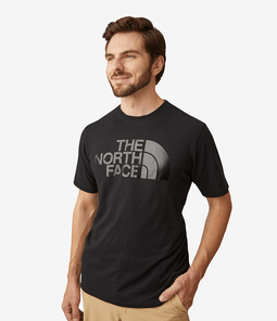 Camiseta The North Face IC Tee Masculina Cinza